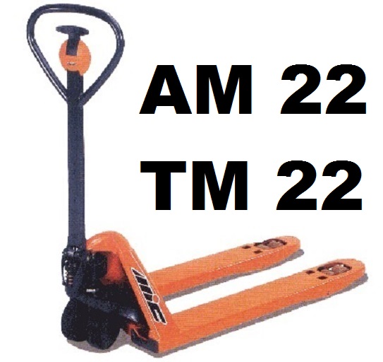 MIC TM22